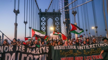 מאז ה-7 באוקטובר: כ-450 הפגנות הקשורות למלחמה התקיימו בניו יורק