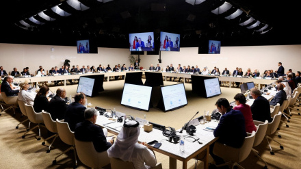  COP-29  Bakıda keçiriləcək