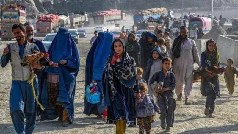 نگرانی سازمان ملل از وضعیت زنان افغانستانی اخراج شده از پاکستان