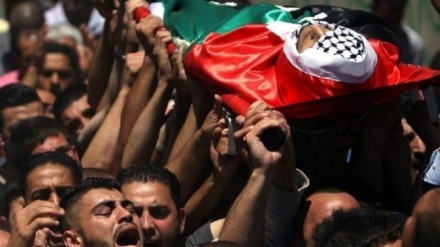  四名巴勒斯坦人在约旦河西岸殉难