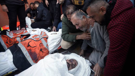 Martirizohen 100 palestinezë në sulmet e regjimit sionist në Gaza