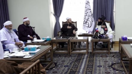 افغانستان ته د اسلامي هېوادونو د علماوو د پلاوي سفر