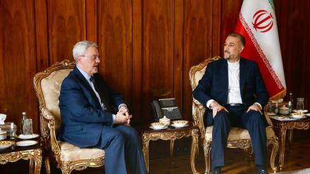 Глава МИД Ирана подчеркнул необходимость усиления дипломатических усилий по борьбе с сионистскими преступлениями