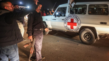 CNN: האסירים ששוחררו ביממה האחרונה הוחזקו במיקומים שונים