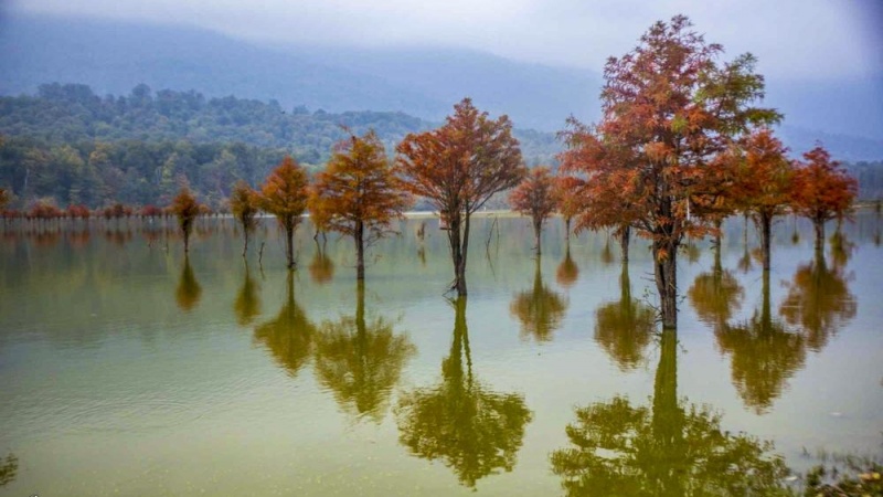 Vjeshta me njëmijë ngjyra në Mazandaran/Foto