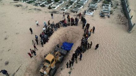 Սիոնիստական ռեժիմը գողանում է Գազայի նահատակների օրգանները 