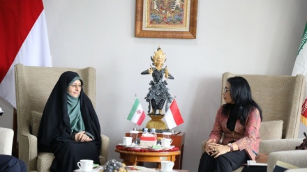 Wapres Bidang Perempuan Iran Serukan Perluasan Hubungan dengan Indonesia