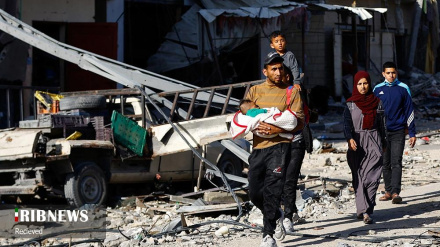 Американский сенатор осудил возобновление преступлений сионистского режима 