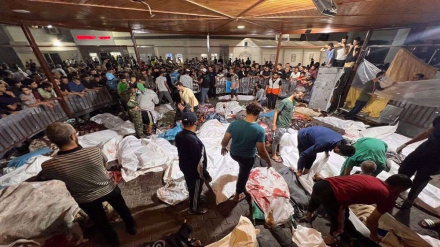 Israeli military abducts Gaza hospital director after he bewails siege