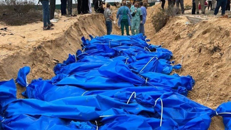 Убийства в секторе Газа и гуманитарные обвинения западных стран 