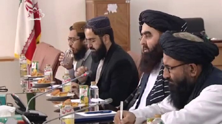 Консультации экономических представителей Ирана и Афганистана