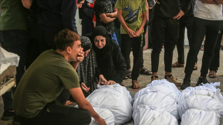 Martirizimi i 29 palestinezëve në jug të Rripit të Gazës