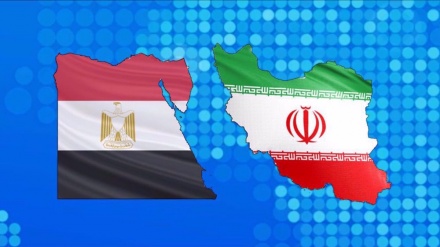 Top Egyptian official expects exchange of ambassadors with Iran in near future