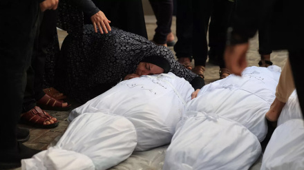 Sulme me armë zjarri ndaj 137 civilëve në Palestinë/ekzekutohen gratë shtatzëna në veri të Gazës