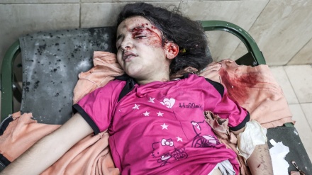 加沙的殉难人数已增至15,523人