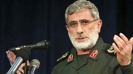 Brigadegeneral Qa'ani: Irans vernichtende Rache und heldenhafter Widerstand beschleunigen Israels Vernichtung