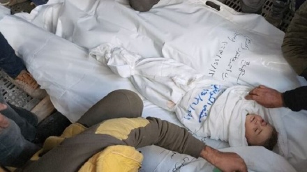 Некоторые правительства региона виновны в пролитой крови жителей Газы