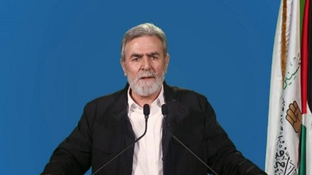 Аль-Нахале: Аль-Арури принял мученическую смерть по пути прославления сопротивления