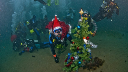 Ղրիմի ափերի մոտ՝ Սև ծովի հատակին, տոնածառ են տեղադրել