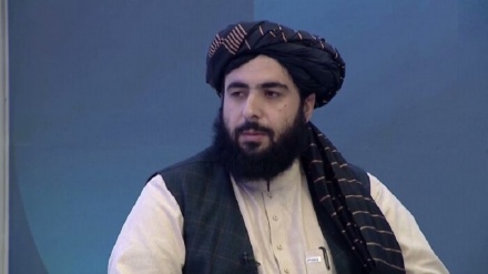  طالبان: عملیات نوسازی نشانه‌های مرزی با ایران ۱۵ درصد پیشرفت داشته است 