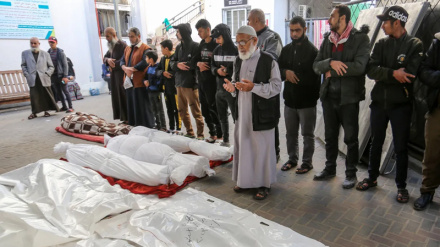 Martirizohen 27 palestinezëve në jug të Gazës