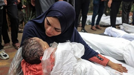 (FOTO) Gaza, 20.057 martiri, 77esimo giorno della guerra - 1