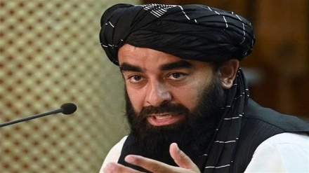 واکنش طالبان به درخواست عفو بین الملل برای رسیدگی به جنایات اشغالگران در افغانستان 