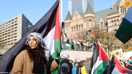 В Торонто прошла демонстрация в поддержку Палестины 