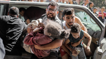 Амир-Абдоллахиан осудил израильский геноцид в Газе