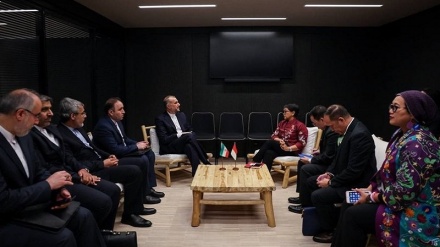 Iran, Indonesia coordinate efforts for Gaza truce