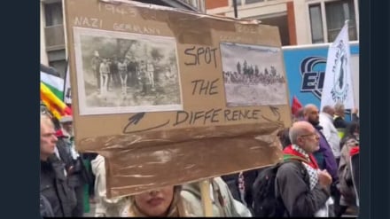 Преследование женщины в Великобритании за поддержку Палестины