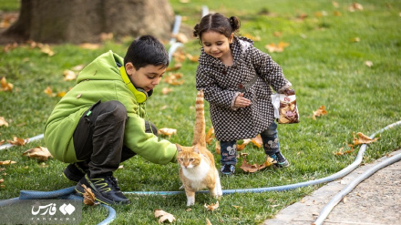 (FOTO DEL GIORNO) No comment