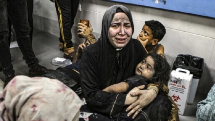 Organisasi HAM Kritik Lemahnya Dukungan DK-PBB terhadap Gencatan Senjata di Gaza