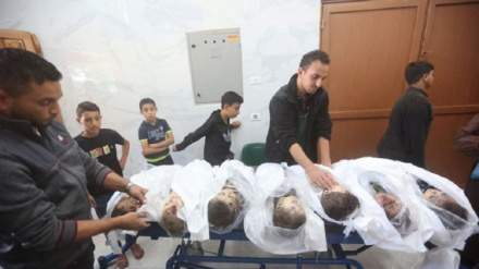 Jumlah Syuhada Gaza Bertambah Jadi 15.523 Orang​