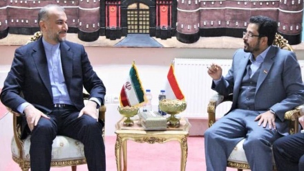 د غزې او لوېدیځې غاړې له خلکو څخه د یمن ملاتړ د ستاینې وړ دی