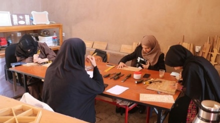 دختران منبت‌ کار در هرات افغانستان