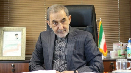 ԻԻՀ առաջնորդի խորհրդականը  քննադատել է Ռուսաստանին՝  եռյակ կղզիների կապակցությամբ