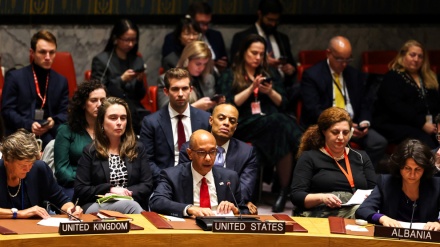  Palestinians slam US veto of UN resolution for Gaza ceasefire as 'disastrous' 