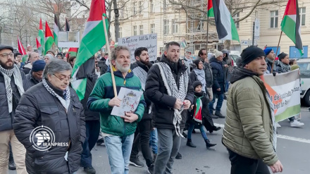 Двенадцатая неделя демонстраций в поддержку Палестины в Берлине