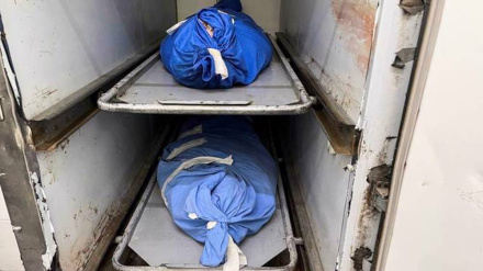 'Bloodbath': WHO slams Israeli aggression in Gaza's al-Shifa hospital