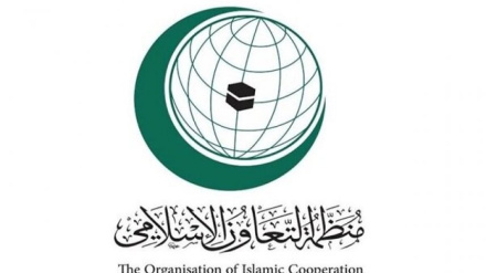 د اسلامي ملګرتیا سازمان د صهیونیسټانو جنایت وغنده