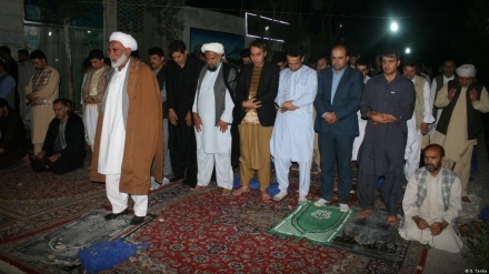 په افغانستان کې په بریدونو کې د شیعه  علماوو په نښه کولو په اړه د پوهنتون یوه استاد سره مرکه