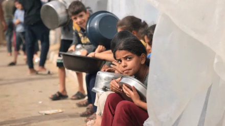 UN food agency warns of ‘catastrophic hunger crisis’ in Gaza after truce collapse