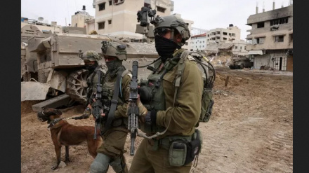 Подтверждение участия тысяч французов в геноциде в Газе