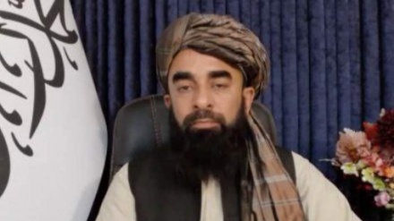 مجاهد: تحریک طالبان پاکستان مساله داخلی دولت اسلام‌آباد است