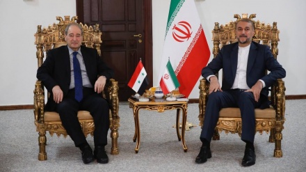 Irani dhe Siria ndajnë qëndrimin për nevojën për t'i dhënë fund gjenocidit izraelit në Gaza