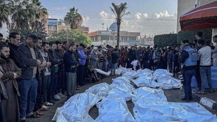 Korban Jiwa Serangan Militer Zionis di Gaza Meningkat