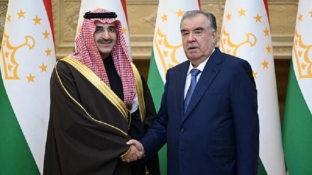 دیدار امامعلی رحمان با  مدیر اجرایی صندوق توسعه عربستان 