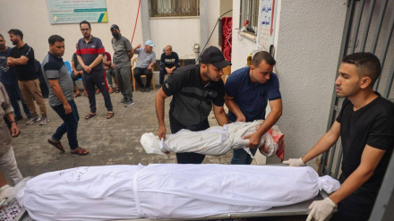 Numri i dëshmorëve në Gaza është rritur në 20.424