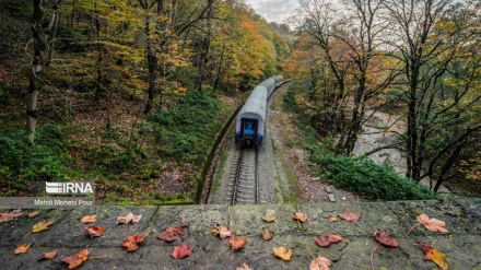 Stina me njëmijë ngjyra e vjeshtës/Foto